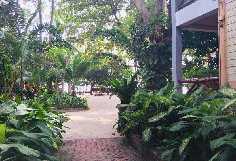 스탠다드 룸, Big Fish Resort Koh Tao