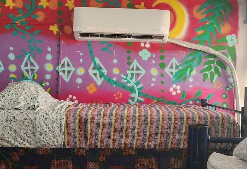 Ágy Megosztott Szobában, Hostel Vallarta