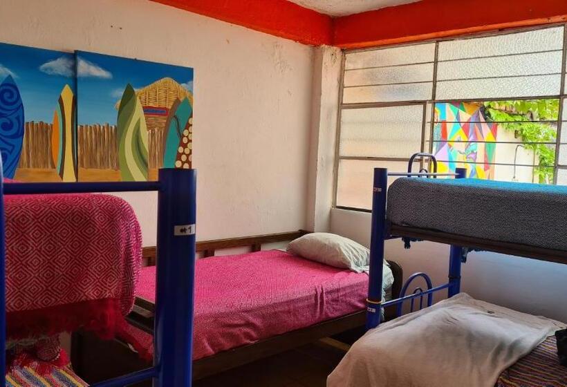 Ágy Megosztott Szobában, Hostel Vallarta