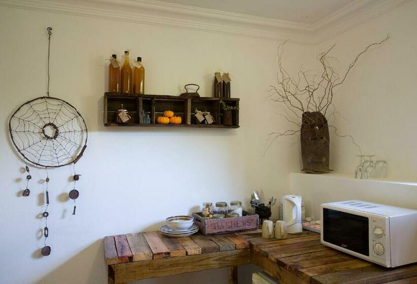 Номер Стандарт, Karoo Khaya