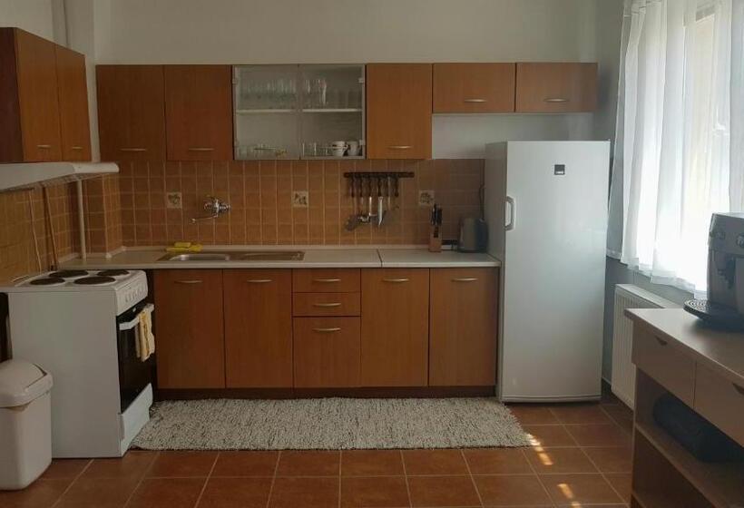 Апартаменты 1 Спальня с Балконом, Apartmány 105