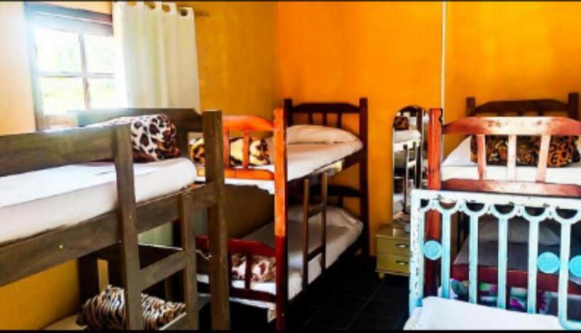 Кровать в Общей Комнате, Hostel Yellow House Mg