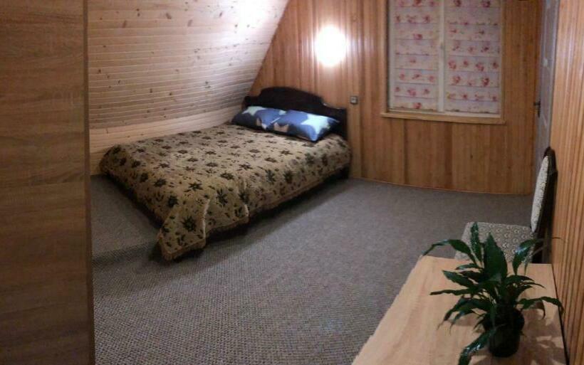 Номер Стандарт, карпатська ніч