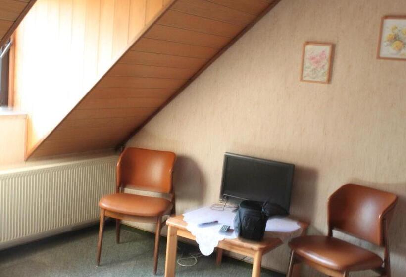 Номер Стандарт Индивидуальный, Landgasthof Wiesenmühle