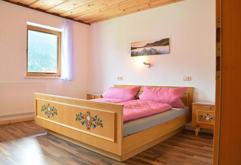 Апартаменты 1 Спальня с Видом, Pension Lichtspitze