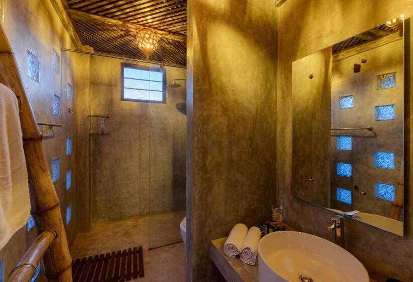 Номер Стандарт, D Canal House