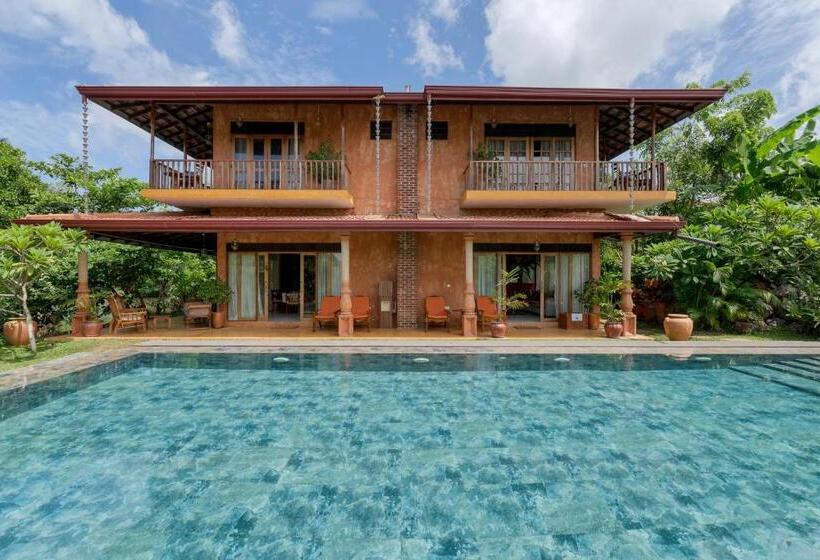 Номер Стандарт, D Canal House