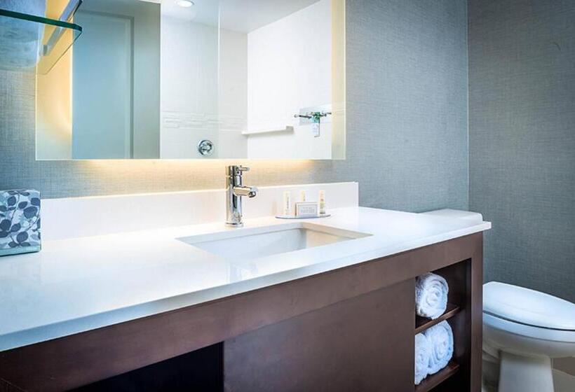침실 2개 스위트, Residence Inn By Marriott Columbus Polaris