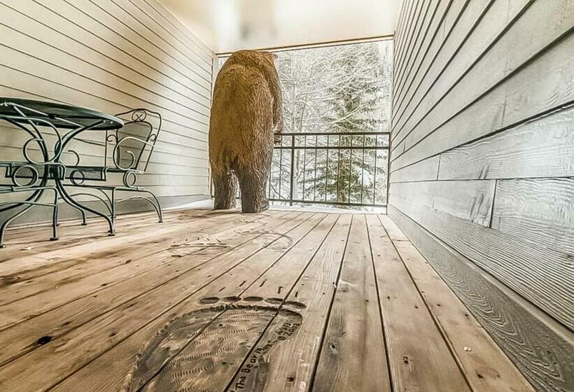 Апартаменты 3 Спальни, Cimarron Mountain Retreat