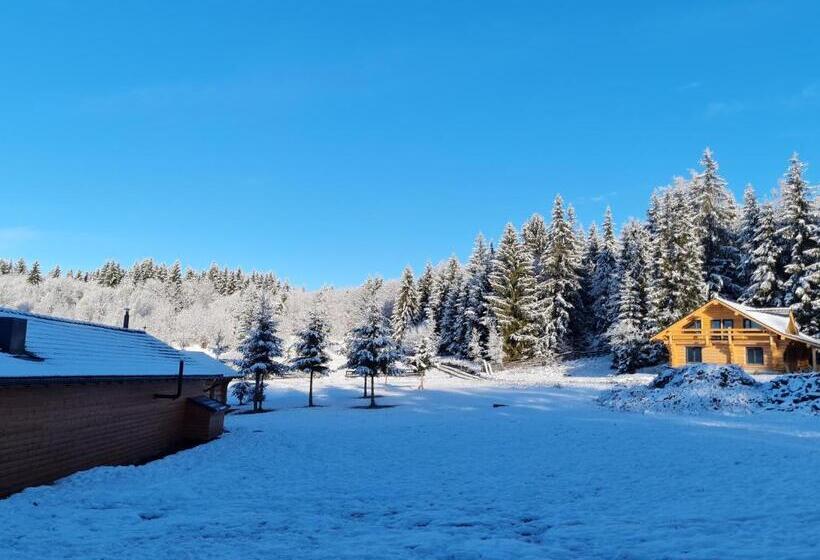 Дом 4 Спальни, Harghita Log Houses