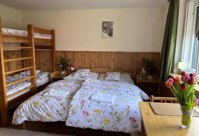 Номер Стандарт, Penzion Petra