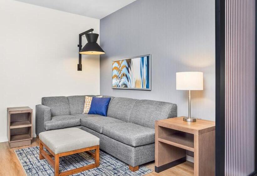 اتاق استاندارد با تخت بزرگ, Hyatt Place Houston Medical Center