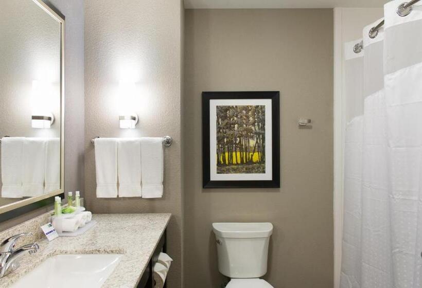 스탠다드 룸 킹사이즈 침대, Holiday Inn Express And Suites Madison Central, An Ihg