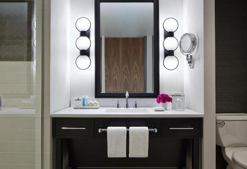 장애인을 위한 스탠다드 룸, Loews Chicago