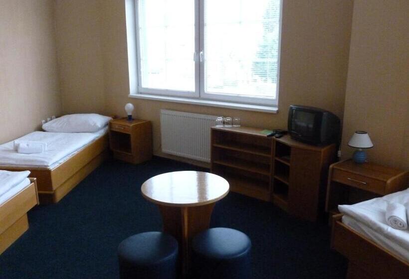 スタンダードシングルルーム, Penzion šenk Pardubice