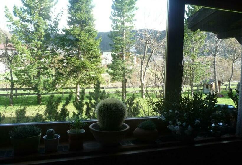 Номер Стандарт, Garni Bonaria
