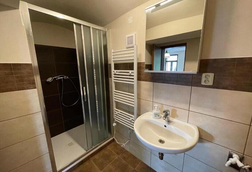 Апартаменты Deluxe 1 Спальня, Buškovský Mlýn 1580