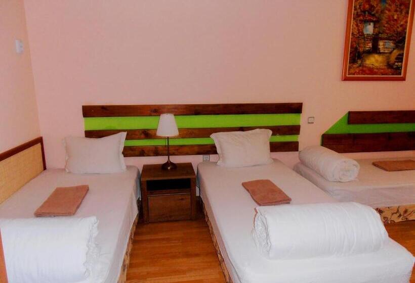 Апартаменты 1 Спальня с Балконом, Guest House Misha