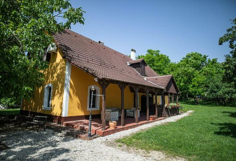 Четырехместный Номер Стандарт, Tusculanum Panzió