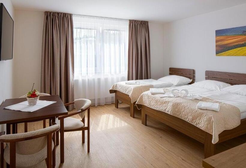 Трехместный Номер Deluxe, Penzion U Buštíků