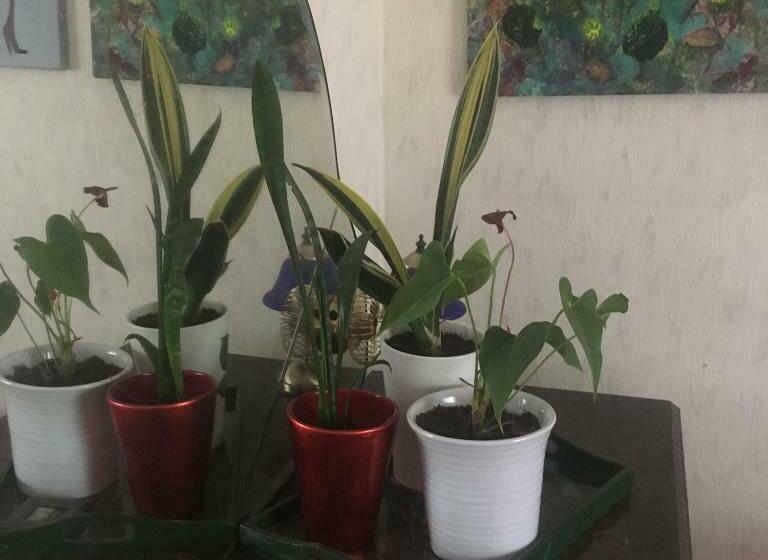 带共用浴室的标准房间, Arthome Småland