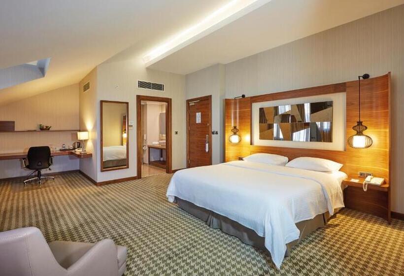 غرفة ديلوكس, Anemon Kent Ankara Otel