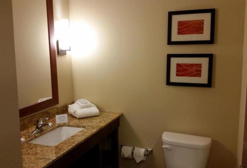 스탠다드 룸, Comfort Inn & Suites West   Medical Center
