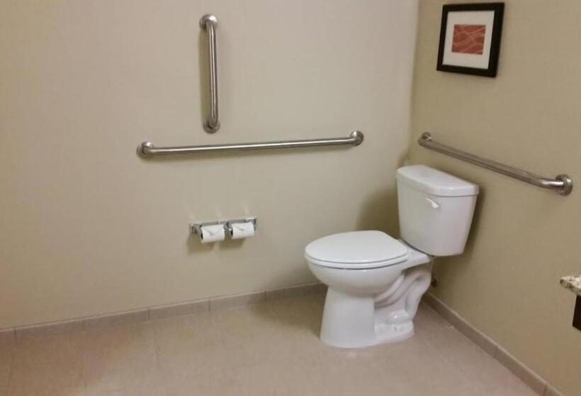 장애인을 위한 킹사이즈 침대 스탠다드 룸, Comfort Inn & Suites West   Medical Center