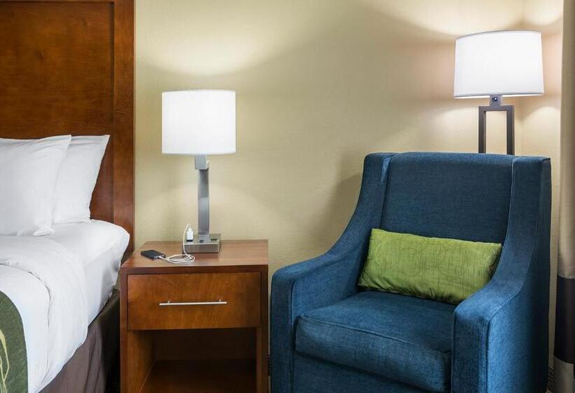 장애인을 위한 킹사이즈 침대 스탠다드 룸, Comfort Inn & Suites West   Medical Center