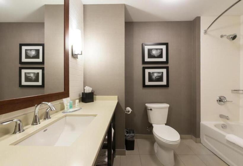 מיטת קינג בסוויטה, Comfort Inn & Suites