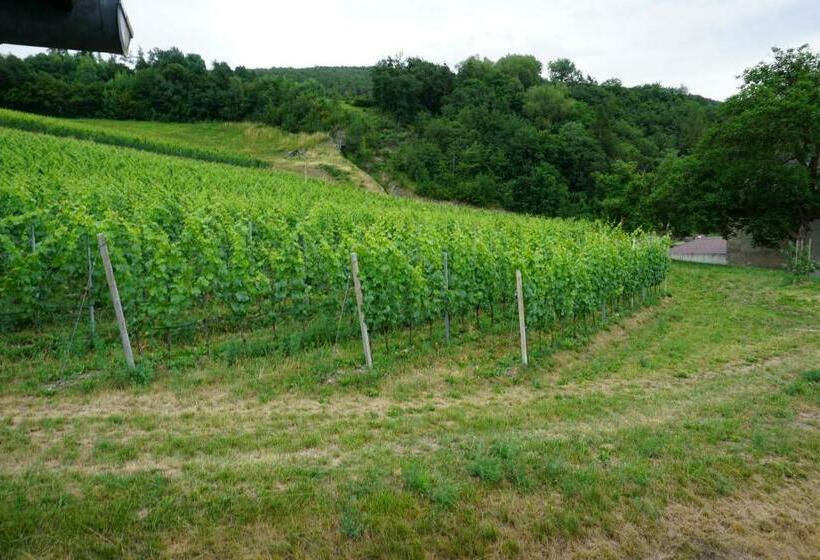 Апартаменты 1 Спальня с Видом, Buehlerhof Agriturismo, Obst &weingut, Urlaub Mit Hund, Pferde, Bauernhof, Brixen