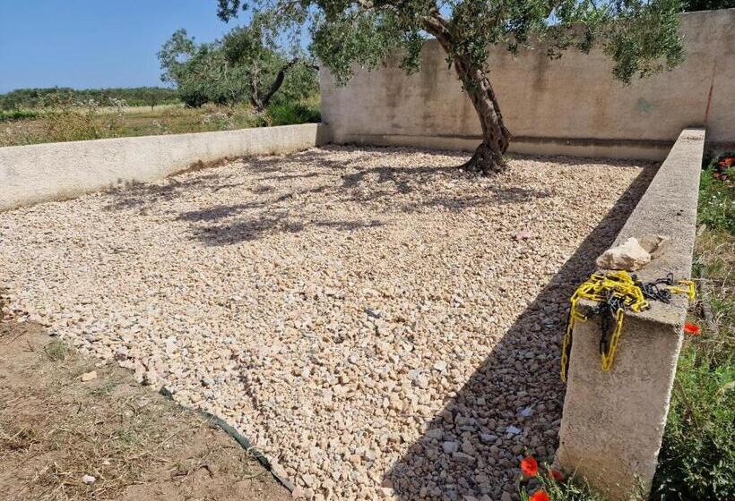 스탠다드 룸 풀장 전망, Casa Vacanze Panorama Sulle Egadi