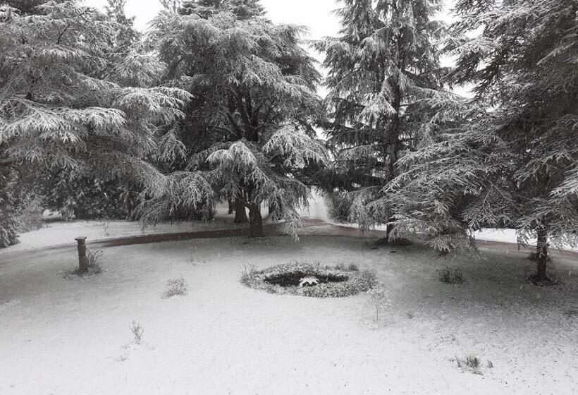 Номер Superior, Manoir De Camblain