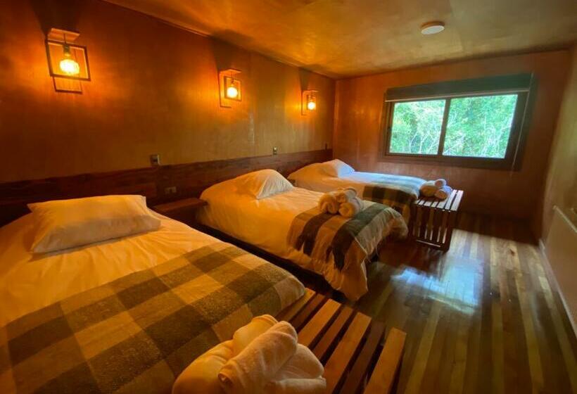 Номер Стандарт Трехместный, Illi Lodge & Hostel