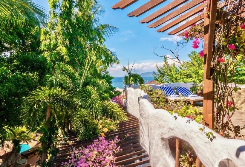 Номер Superior с Террасой, Atlantis Dive Resort Puerto Galera