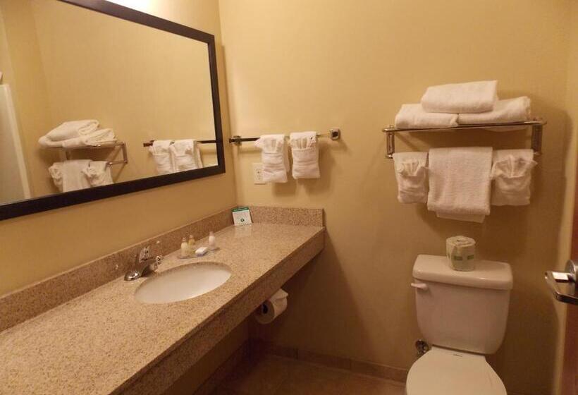 Стандартный Номер Кровать Кинг, Amerivu Inn And Suites   Crookston