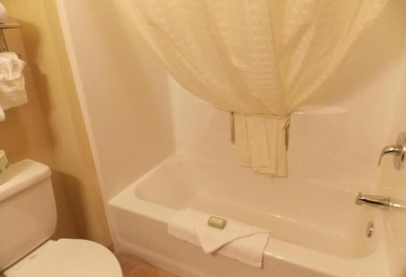 Номер Стандарт, Amerivu Inn And Suites   Crookston