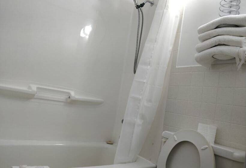 Номер Стандарт 2 Двуспальные Кровати, Bel Air Motel
