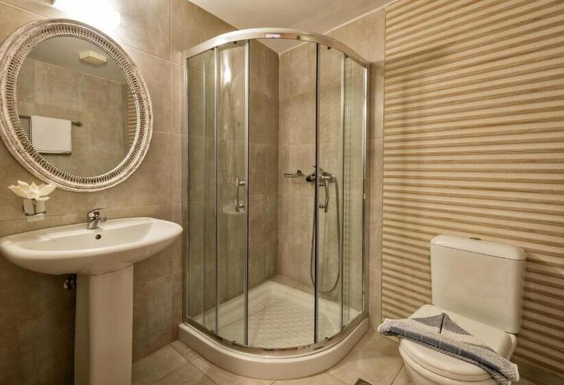 استودیوی استاندارد, Mirtilos Studios & Apartments