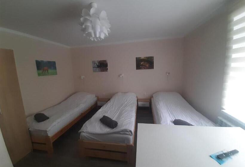 Номер Стандарт Трехместный, Tropikalna Odnowa