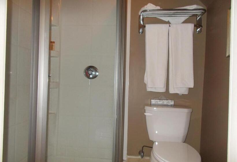 스탠다드 룸, Debary Inn