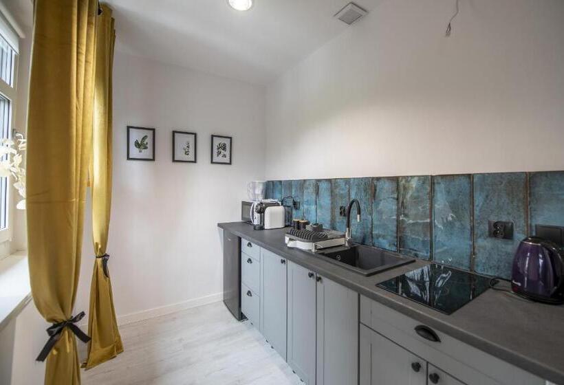 Апартаменты 1 Спальня с Видом, Apartamenty śnieżna 12 Lądek  Zdrój