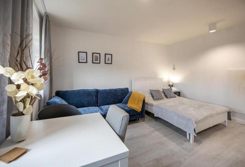 Студия Стандарт, Apartamenty śnieżna 12 Lądek  Zdrój
