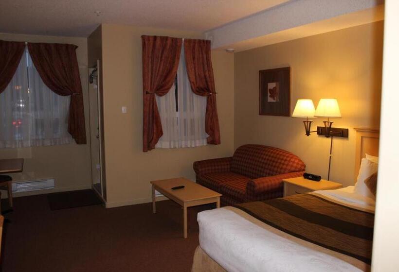 Студия Стандарт, Clearwater Hotel Ltd