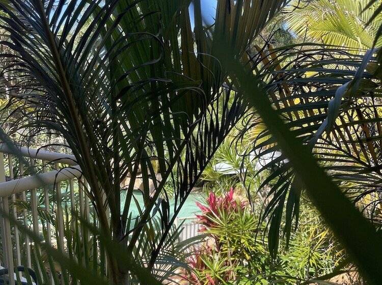 스탠다드 룸 킹사이즈 침대, Oasis Inn Ulladulla