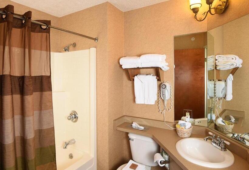 Номер Deluxe Кровать Кинг, Cedar Creek Hotel Wausau   Rothschild