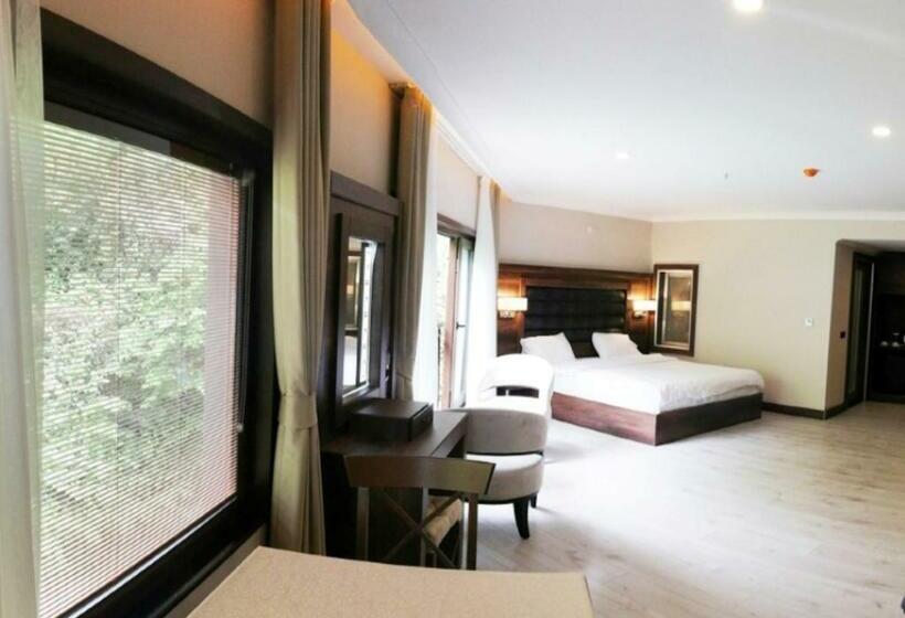 스탠다드 룸, şelale Otel