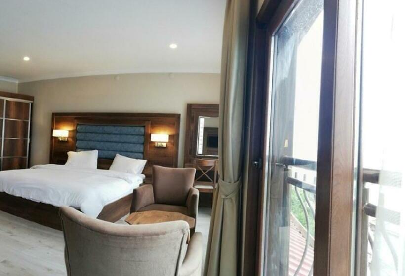 스탠다드 룸, şelale Otel