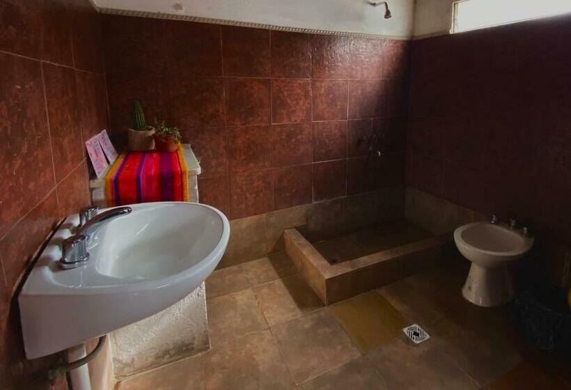 Четырехместный Номер Стандарт, Gran Casa Hostel&camping
