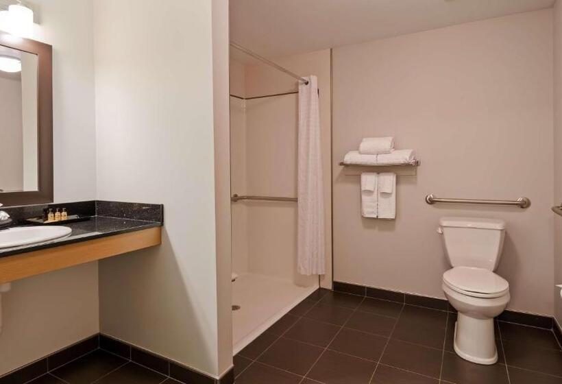 Номер Стандарт Адаптированный для Инвалидов, Best Western Plus Airport Inn & Suites